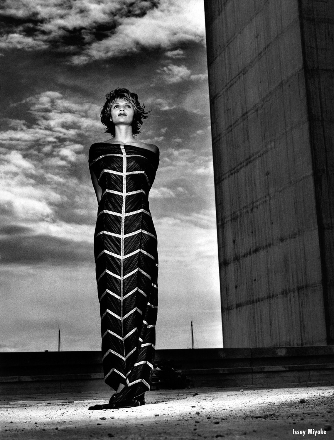fotografia helmut newton fo