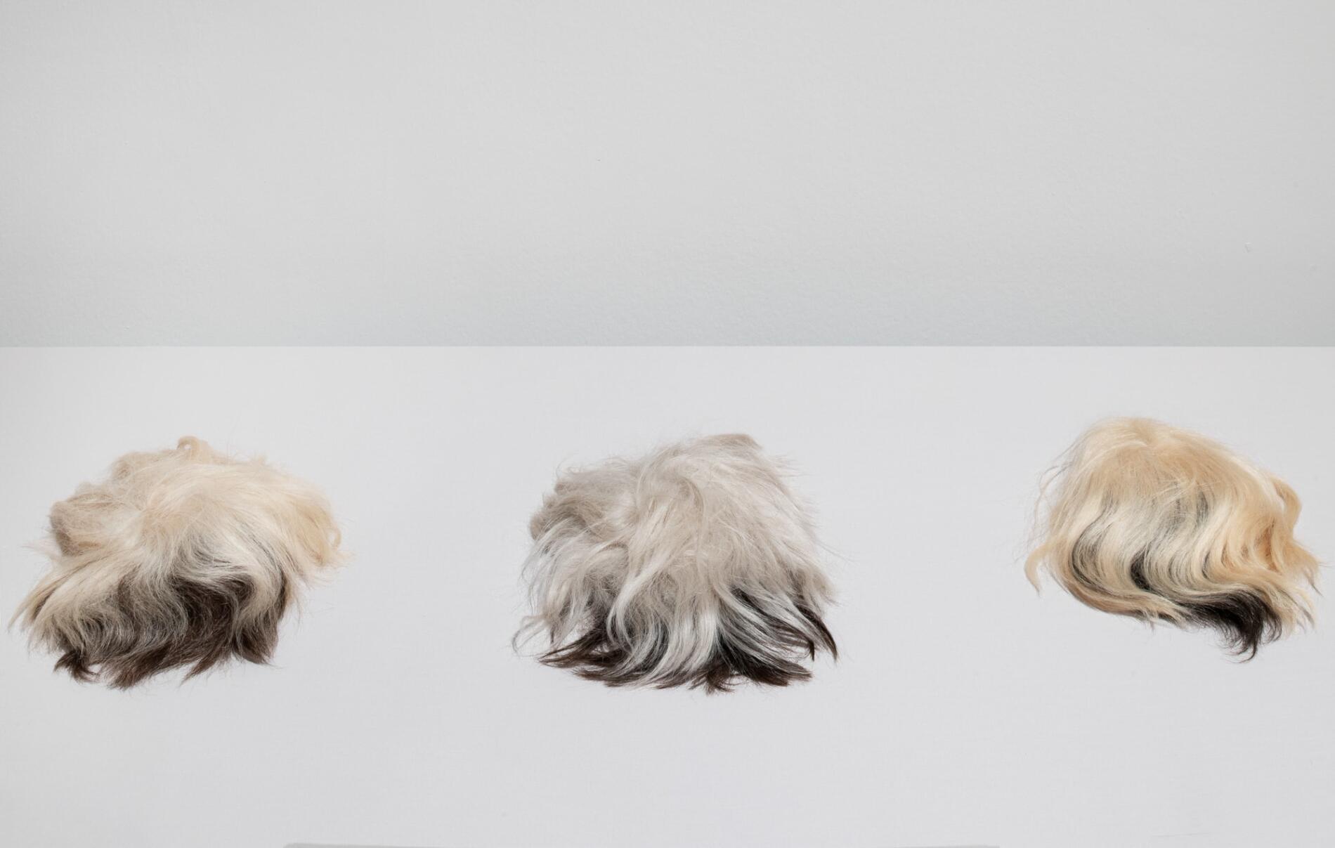 AUTORETRATOS DE WARHOL PELUCAS K