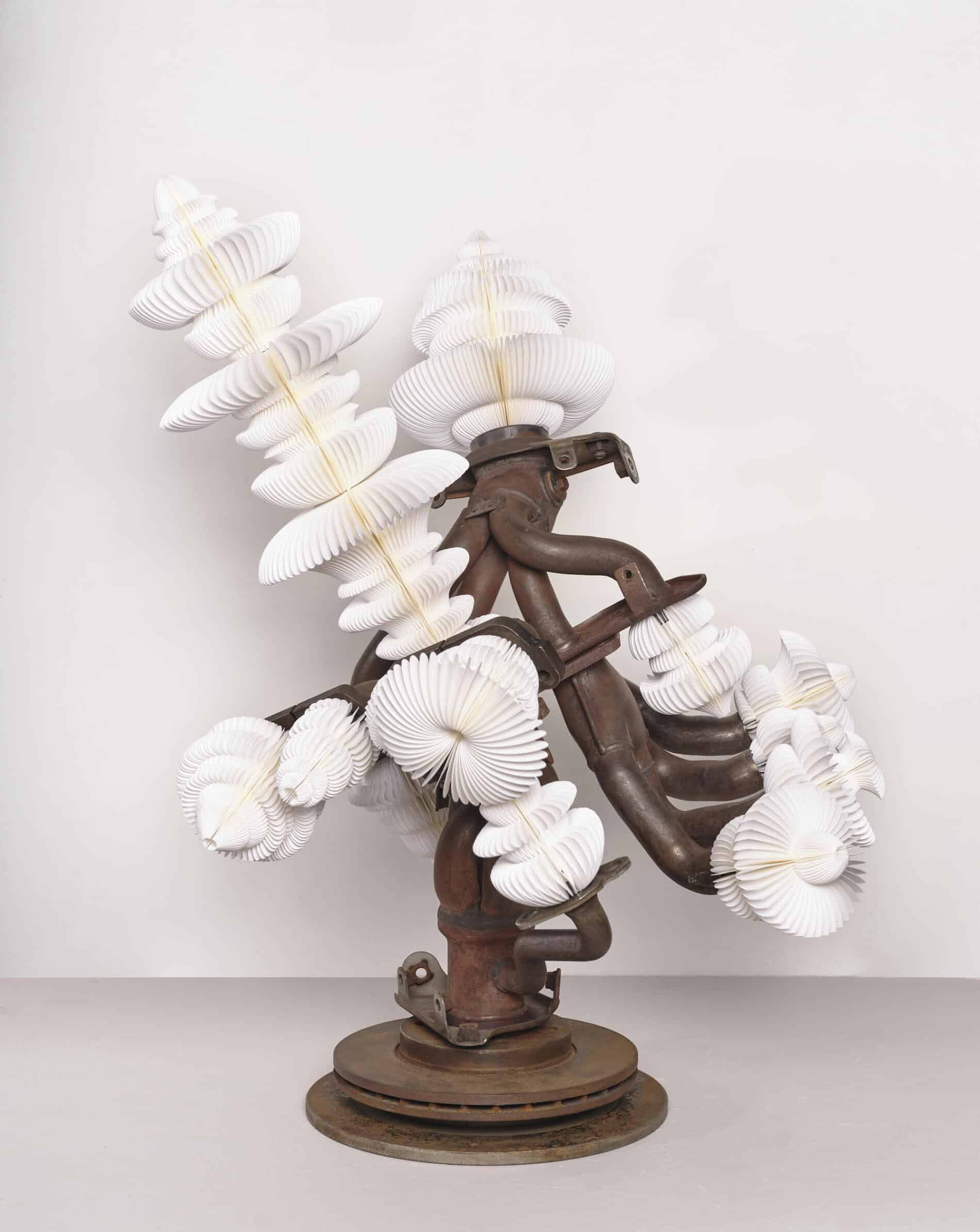 Keita Miyazaki vegetacion