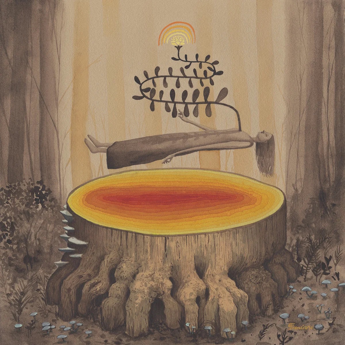 Graham Franciose dream