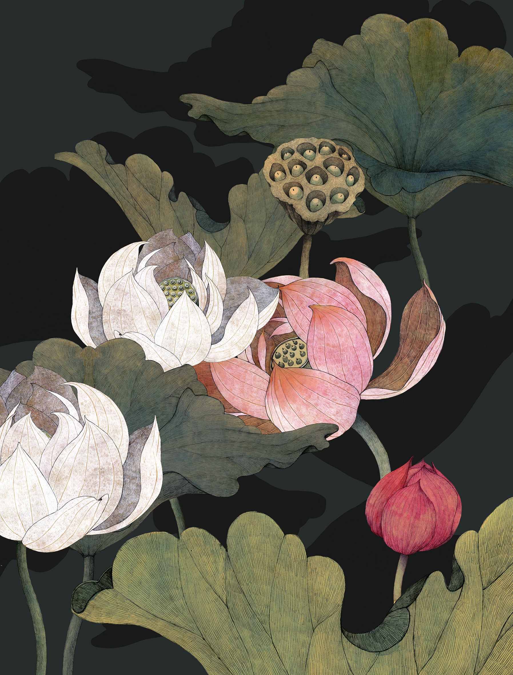 Lina Kusaite Lotus Land 2