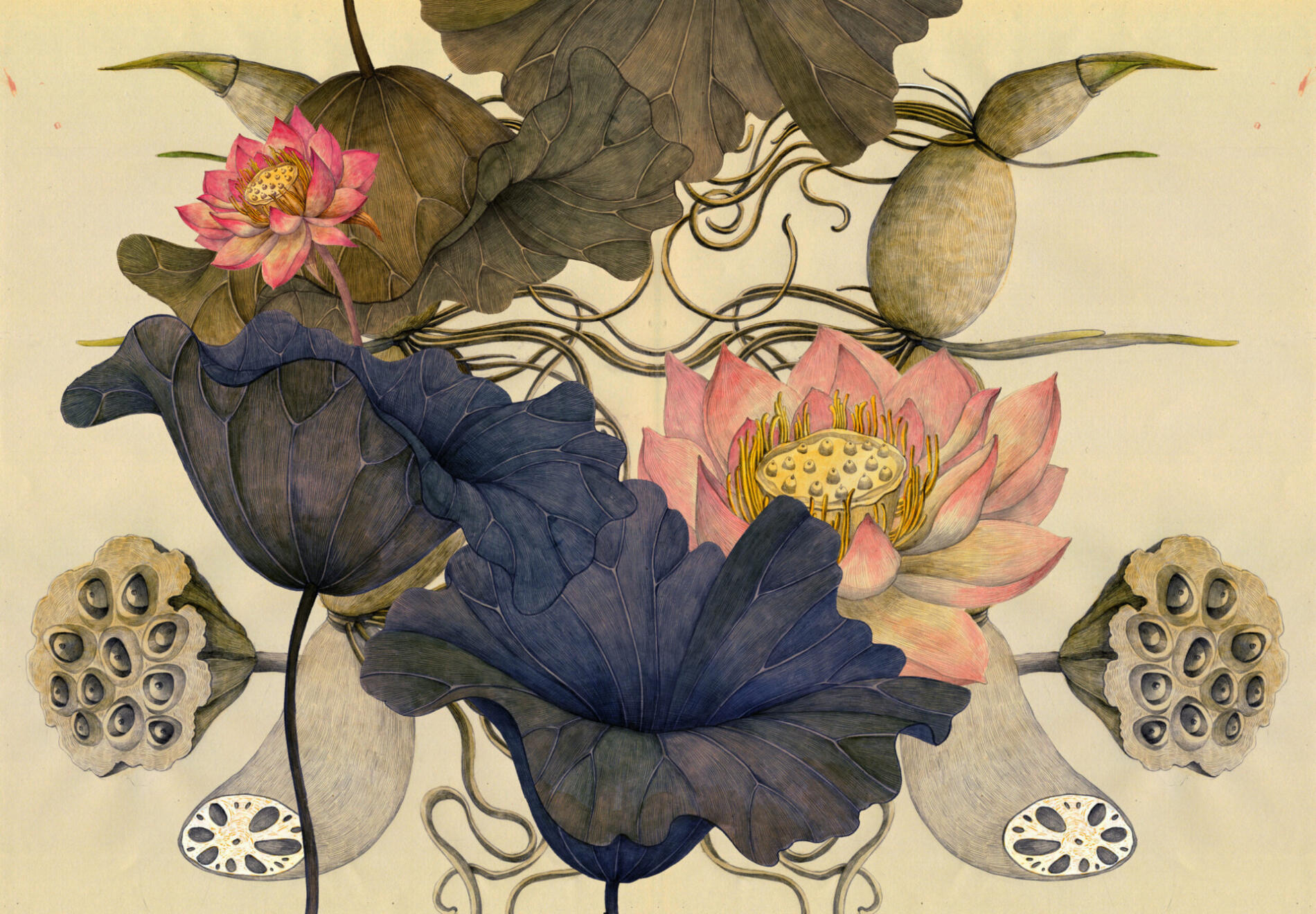 Lina Kusaite Lotus