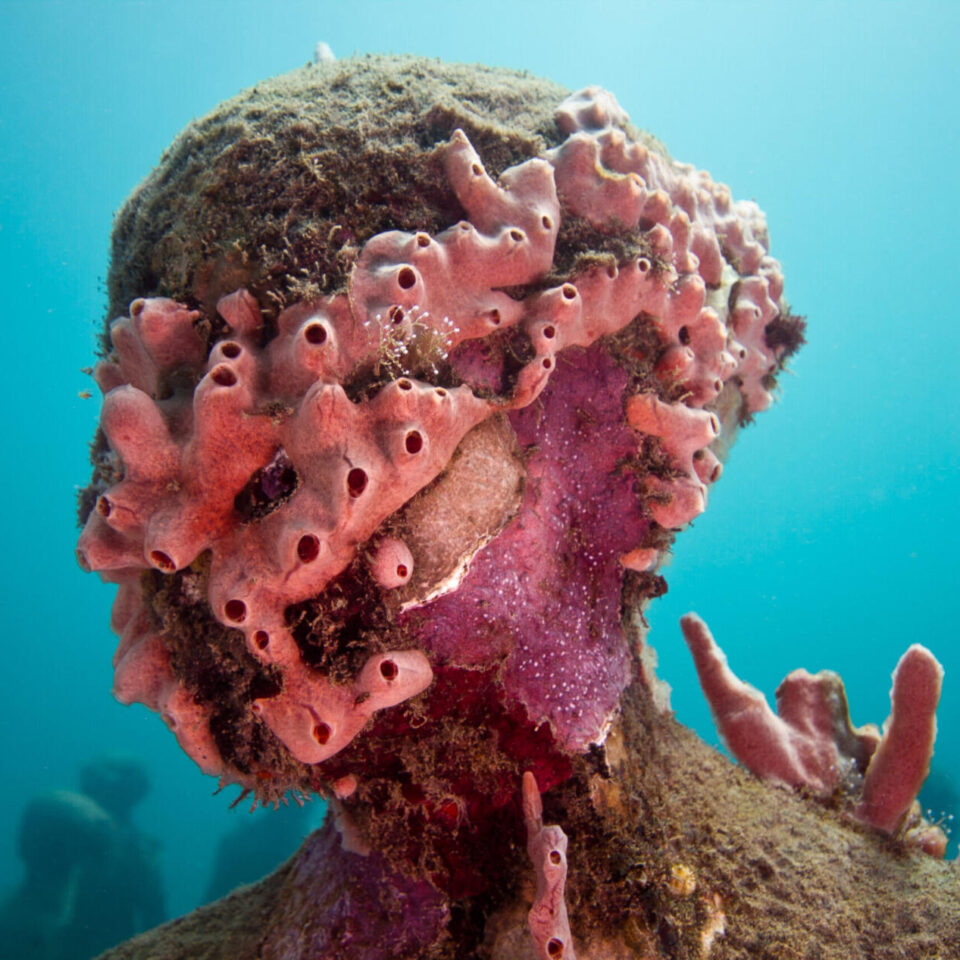 MUSEO JASON DECAIRES TAYLOR CORAL