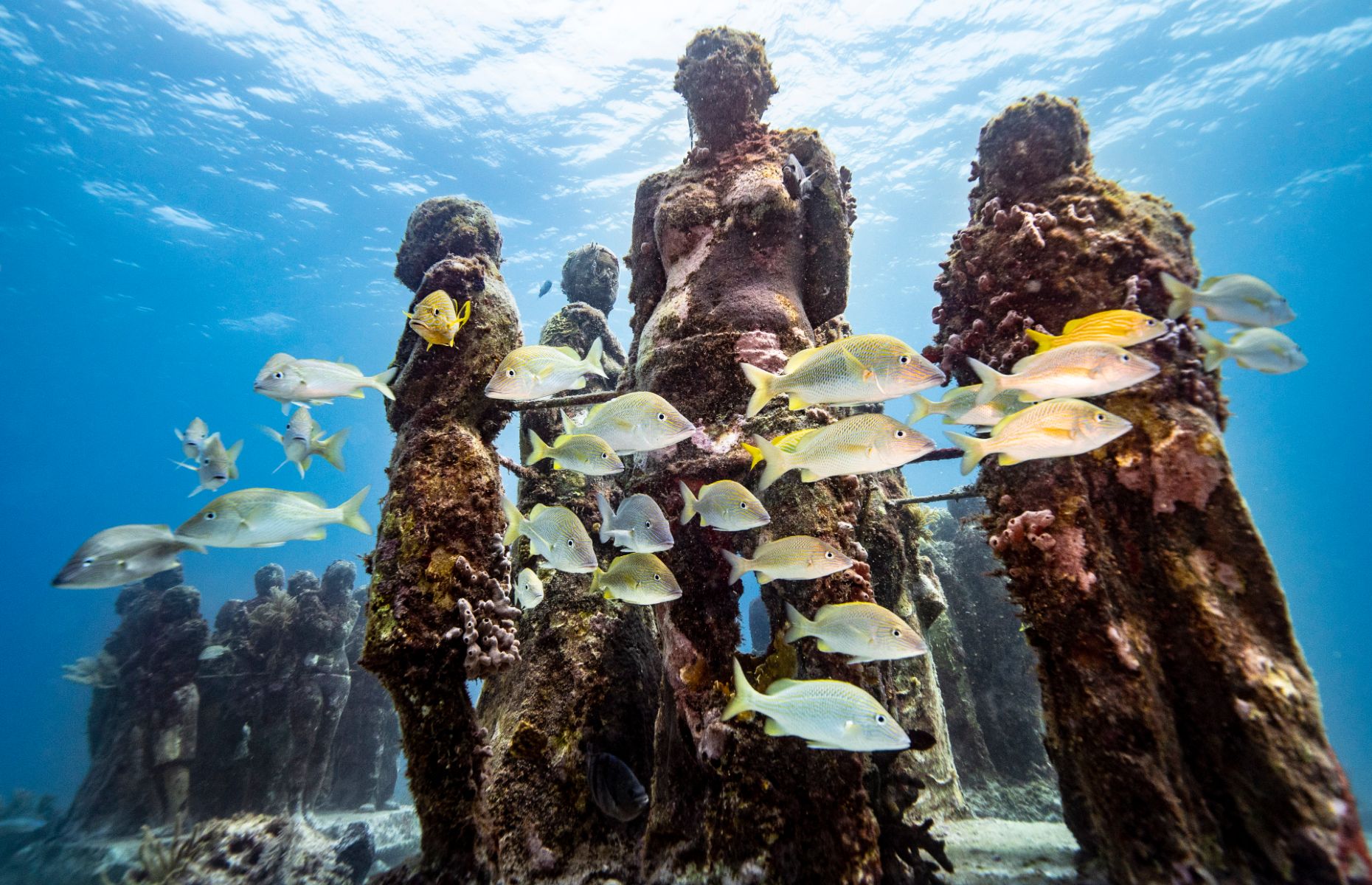 MUSEO PENINSULA DE YUCATAN JASON DECAIRES TAYLOR
