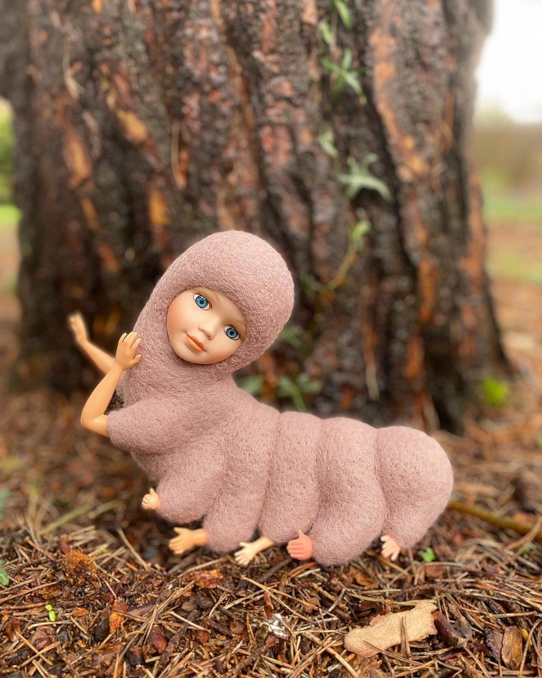 amy coleslaw oruga