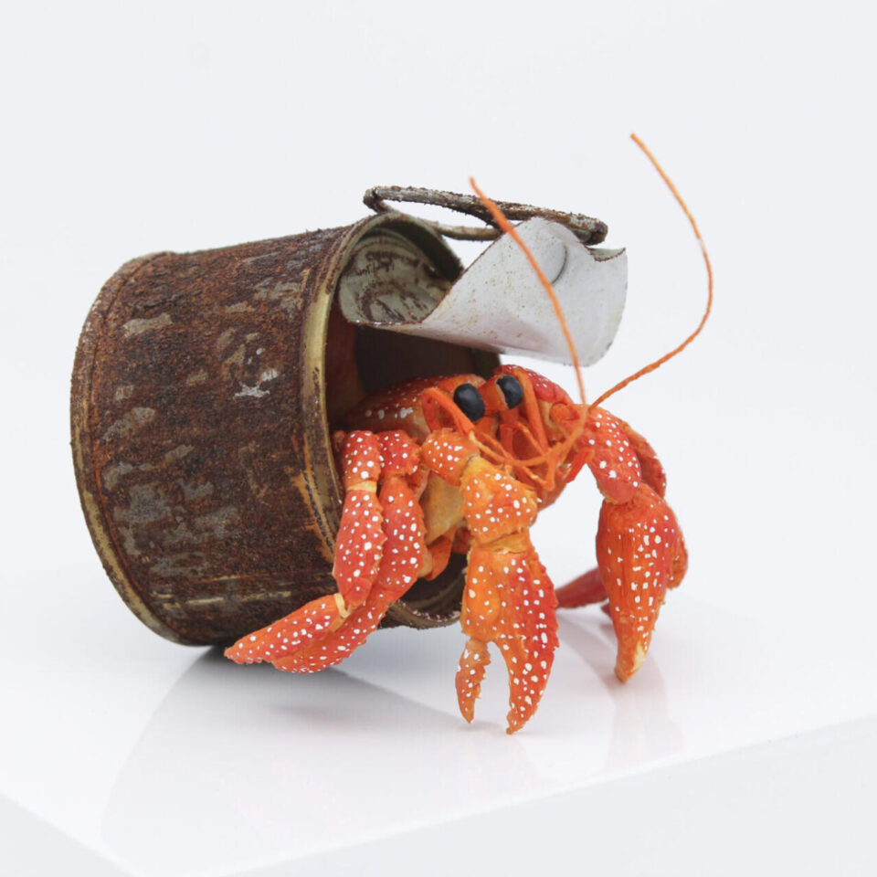 TINA KRAUS CANGREJO ERMITAÑO PAPER OCEAN