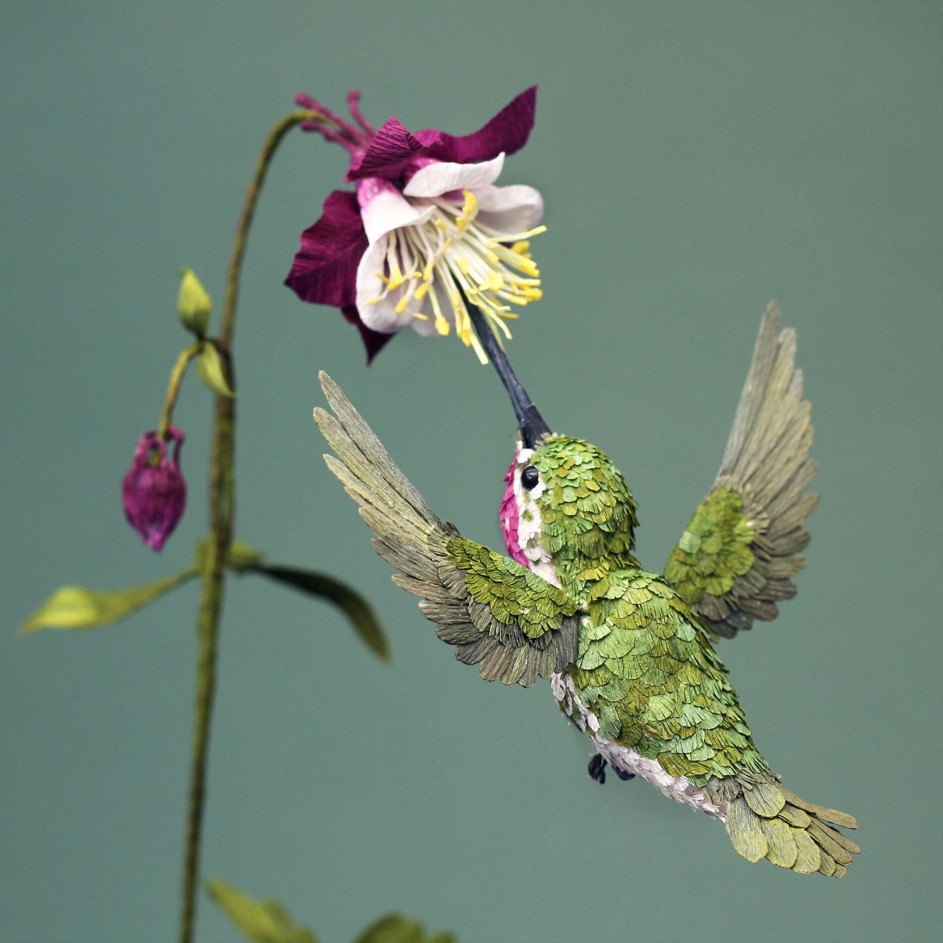 TINA KRAUS PAPER OCEAN COLIBRI