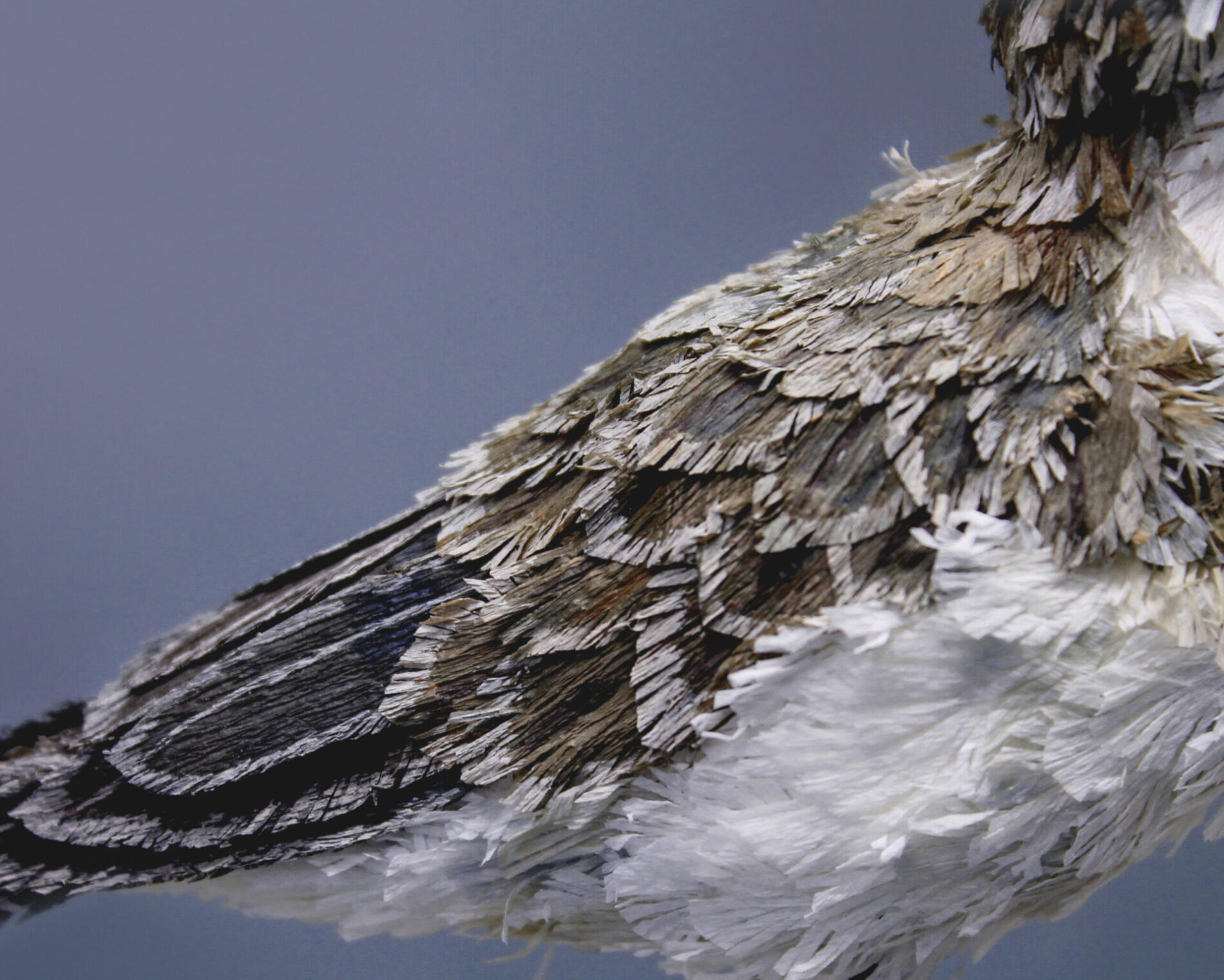 TINA KRAUS PAPER OCEAN GAVIOTA DETALLE