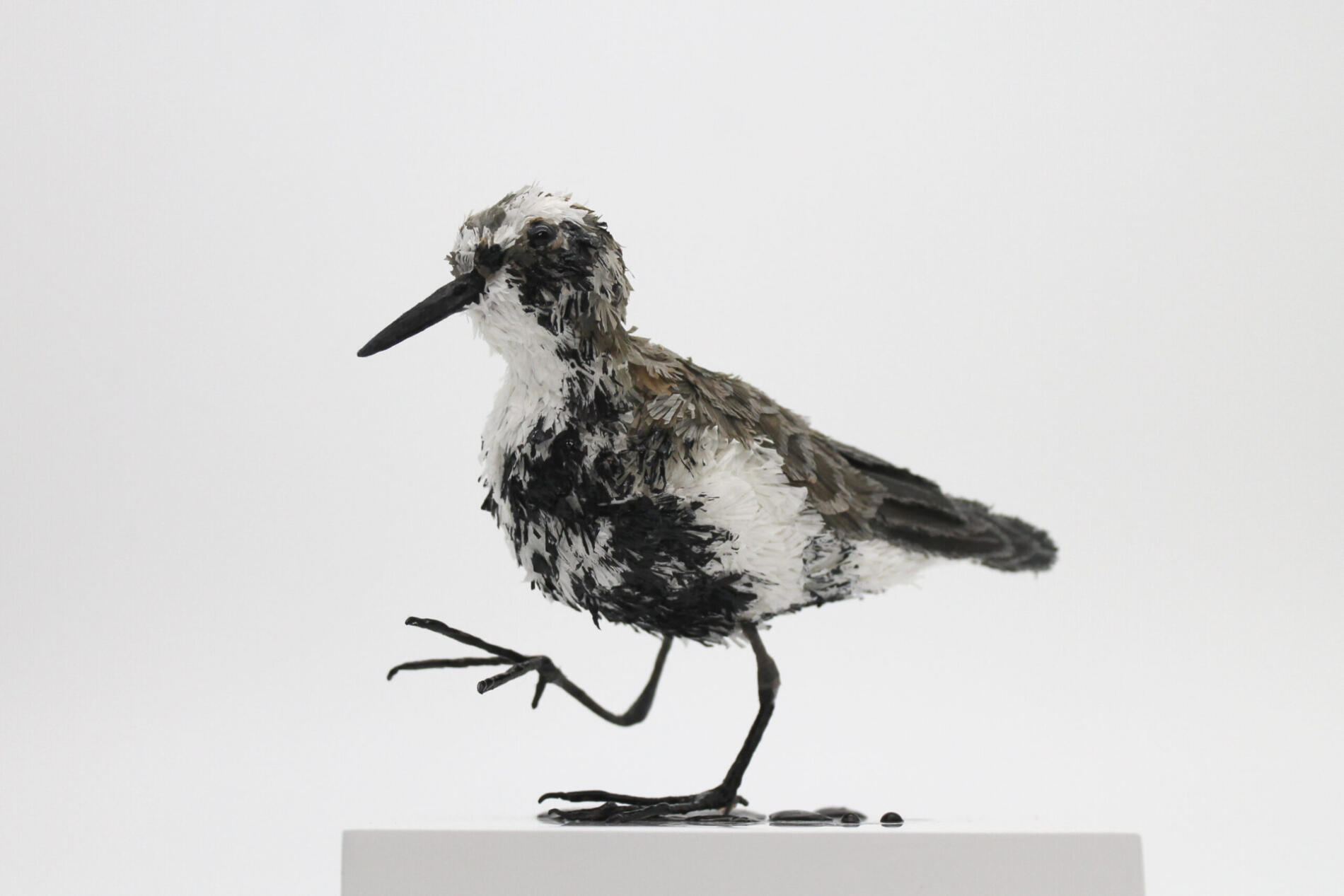 TINA KRAUS PAPER OCEAN GAVIOTA