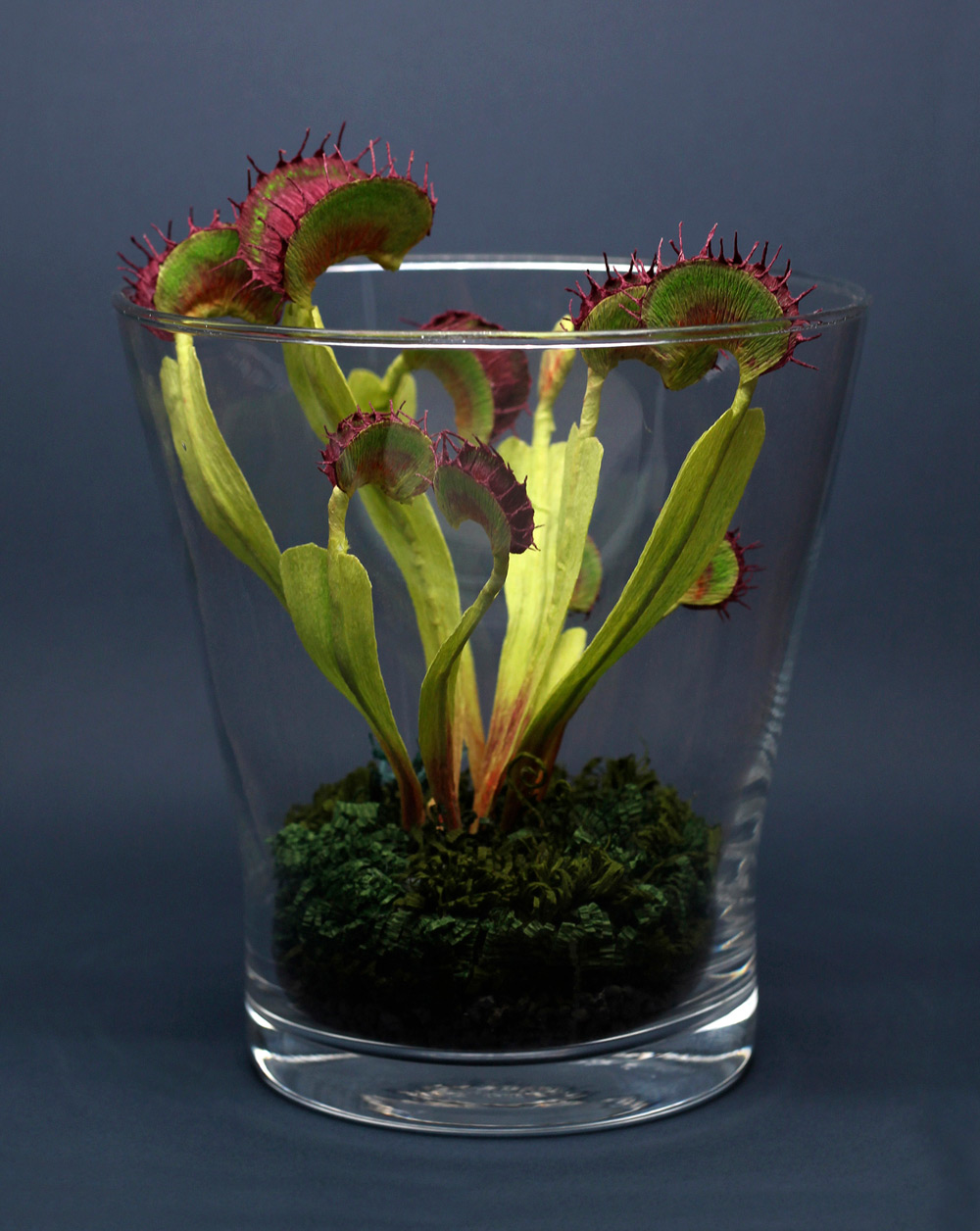 TINA KRAUS PAPER OCEAN PLANTA CARNIVORA