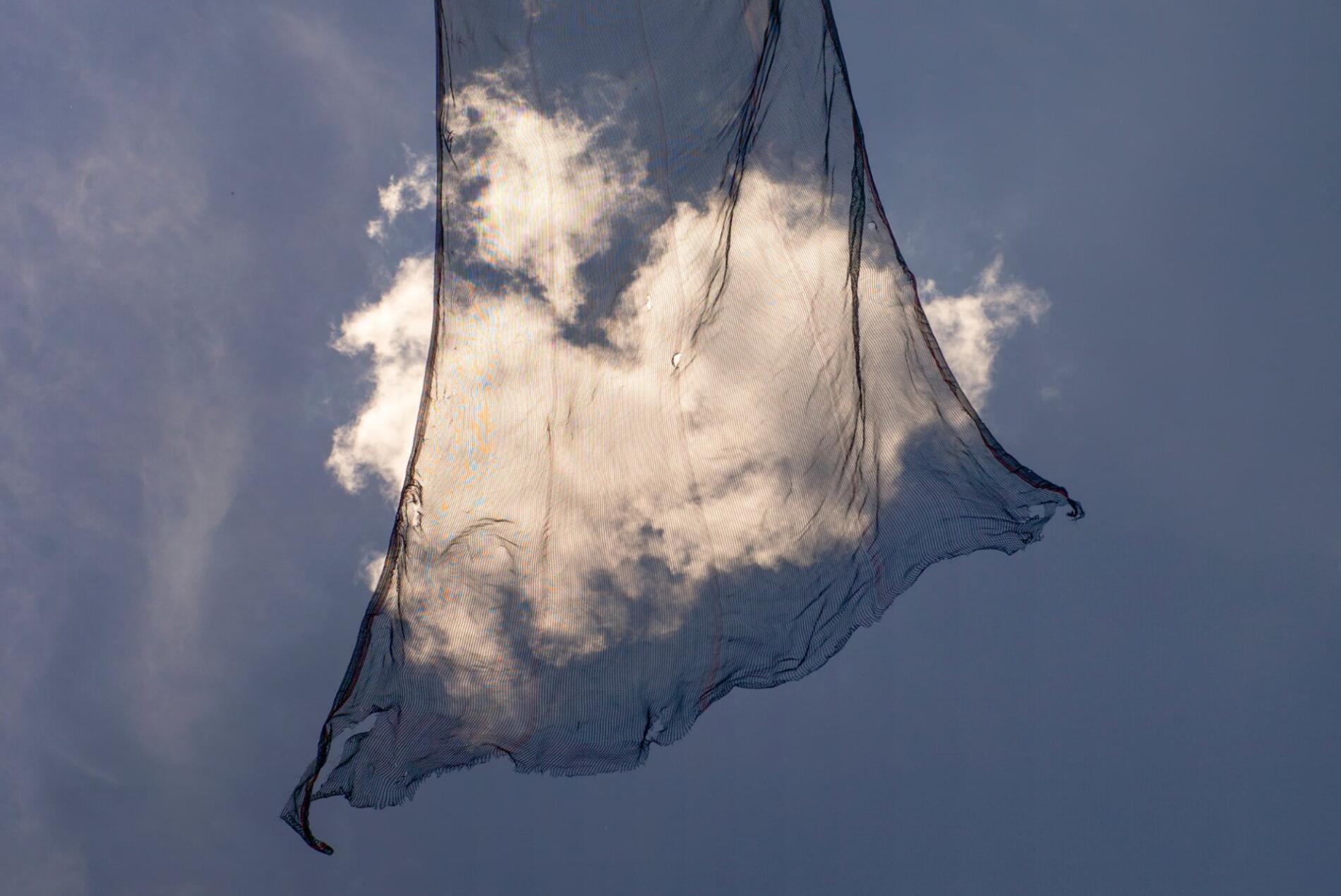eric kogan nubes red