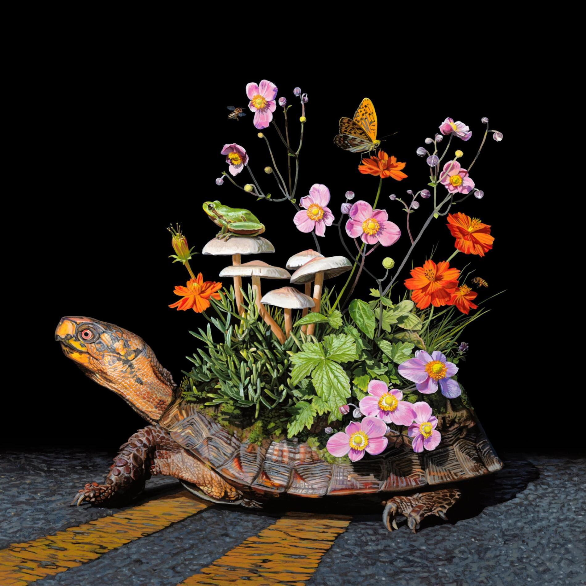 lisa ericson serpiente chariot