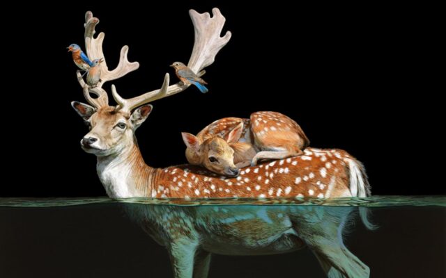lisa ericson mother
