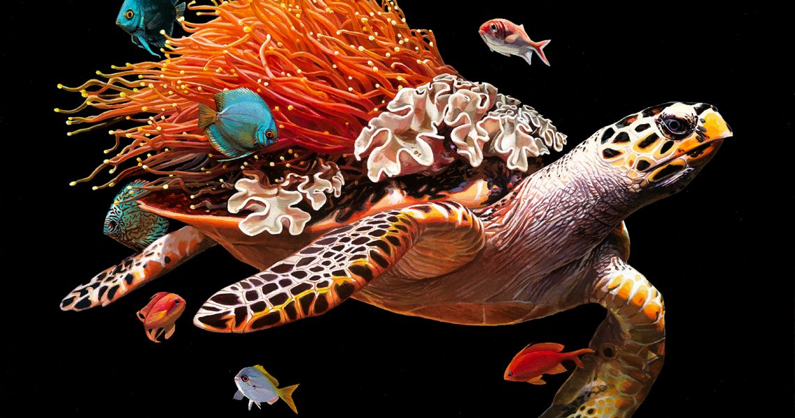 lisa ericson serpiente tortuga