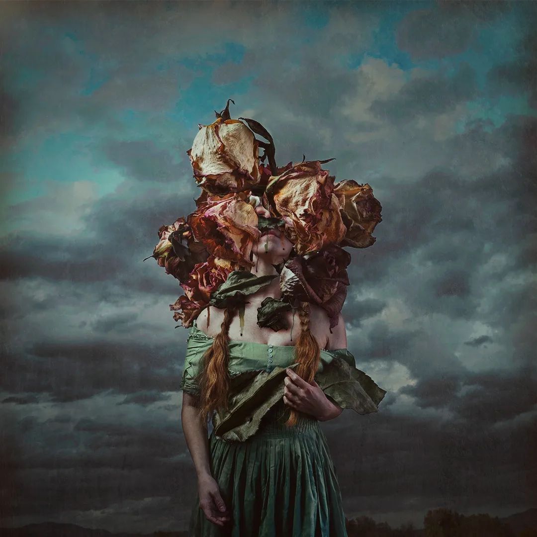 roses Brooke Shaden