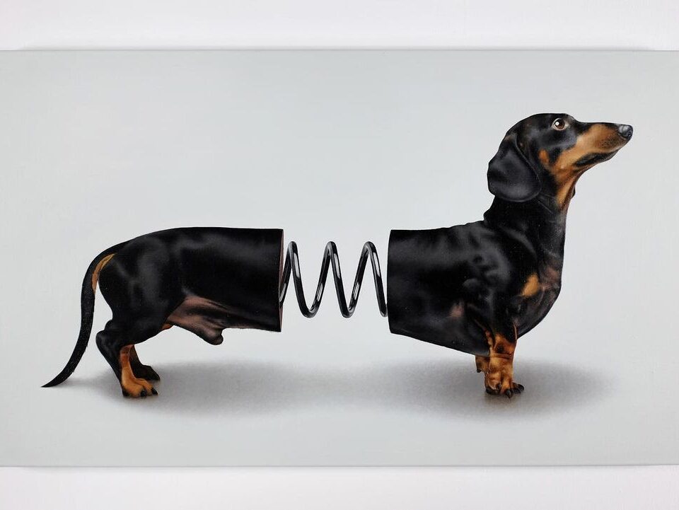 Ilya Brezinski perro salchicha