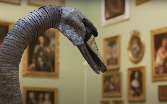 James Cox swan automaton