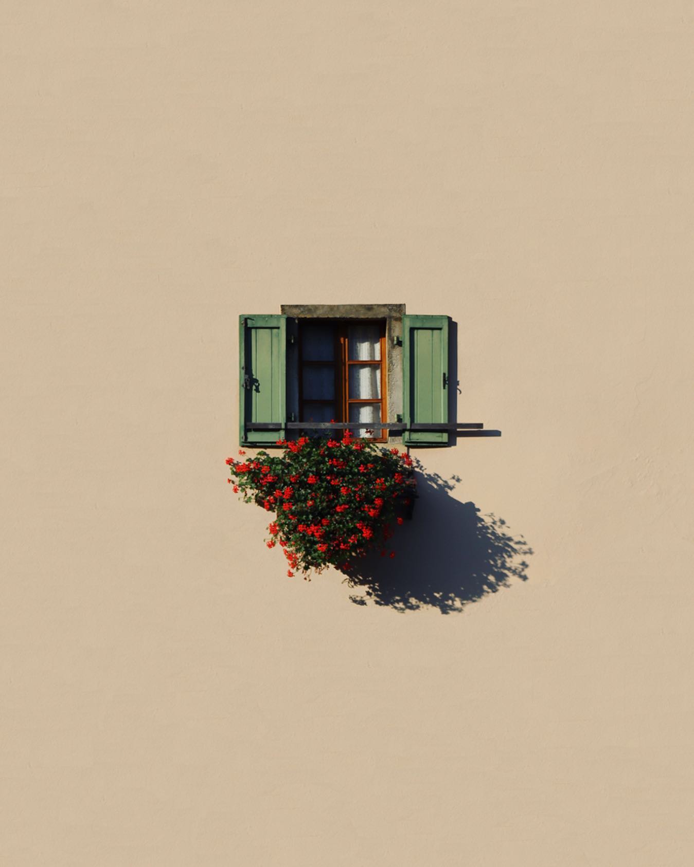 Marcus Cederberg fotografia minimalista ventana flores