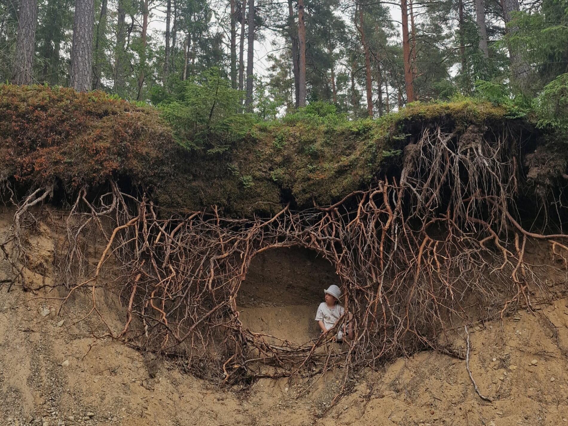 Ulf Mejergren construcciones refugios de la naturaleza cueva