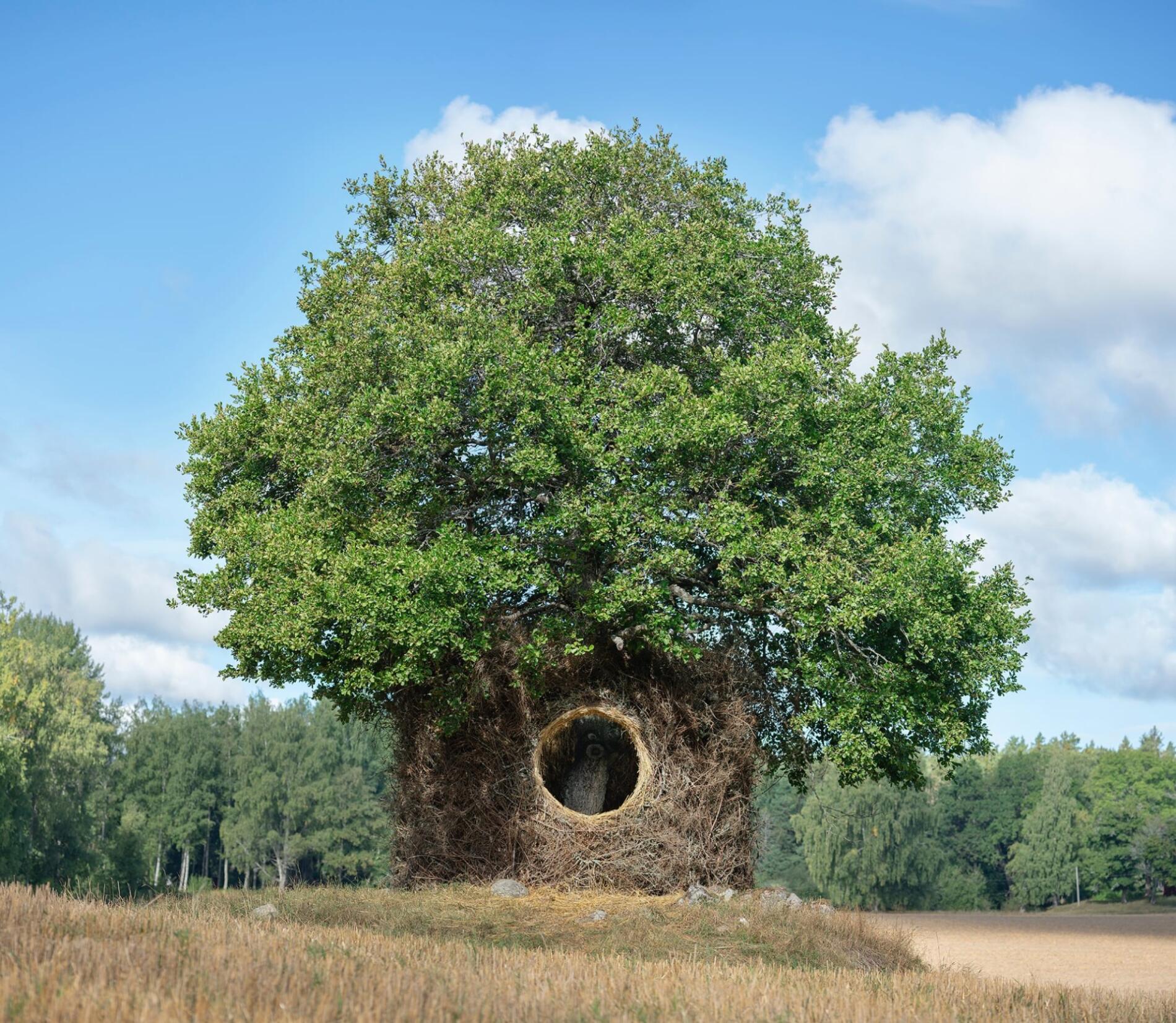 Ulf Mejergren construcciones refugios de la naturaleza land art