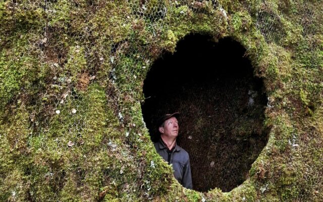 Ulf Mejergren construcciones refugios de la naturaleza musgo