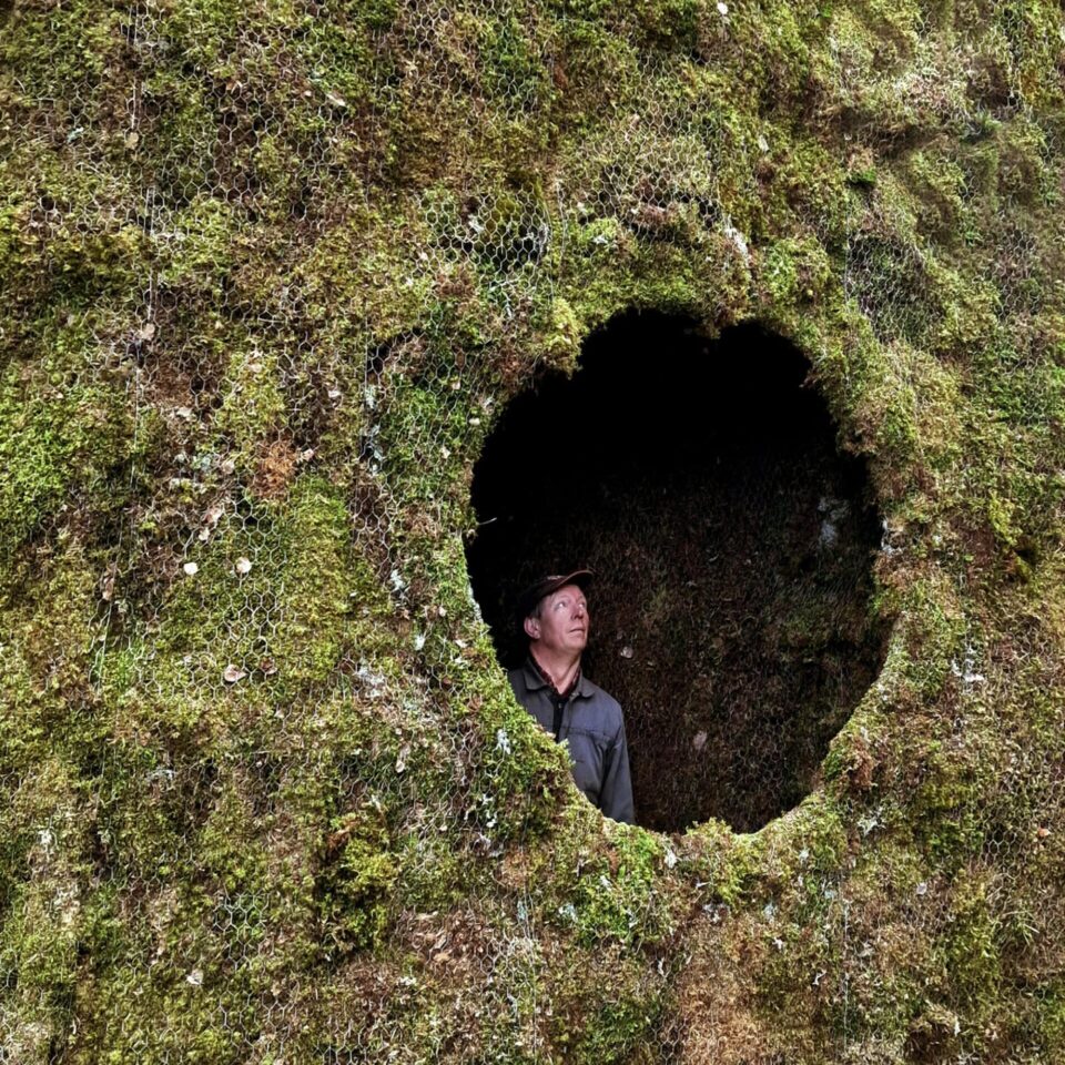 Ulf Mejergren construcciones refugios de la naturaleza musgo