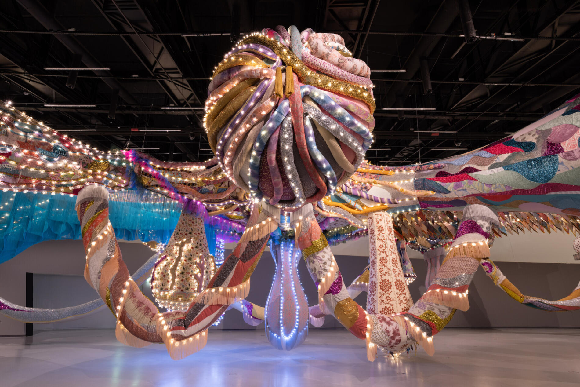 vasconcelos plug in octopus