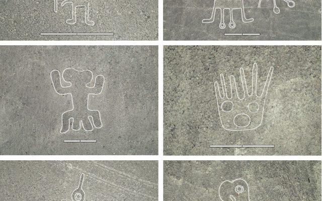Nuevas lineas de nazca