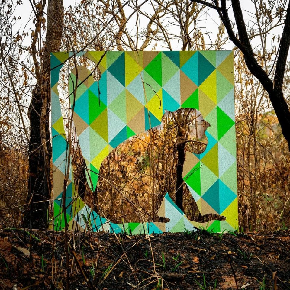 Cuadro de artista Kobra en el bosque