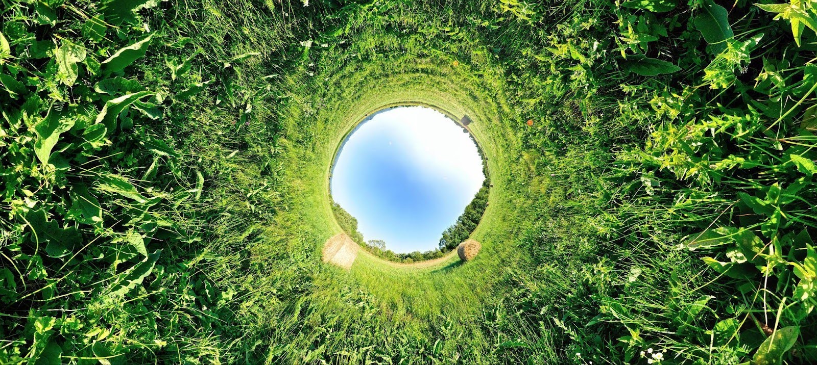 Vista en 360º de un campo